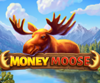 Money Moose