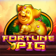 Fortune Pig