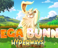 Mega Bunny Hyperways