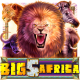 Big 5 Africa