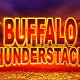 Buffalo Thunderstacks